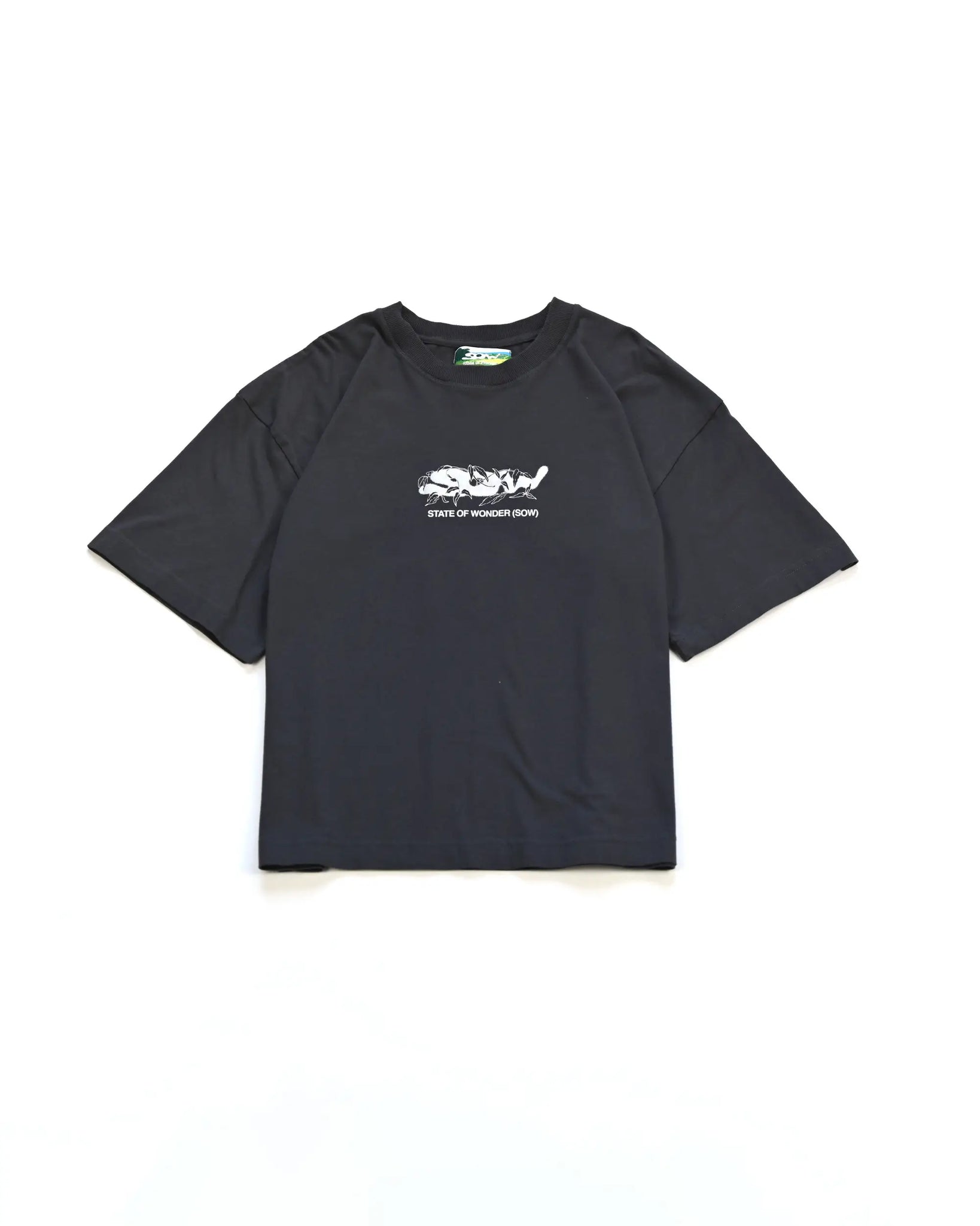 Two Colors T