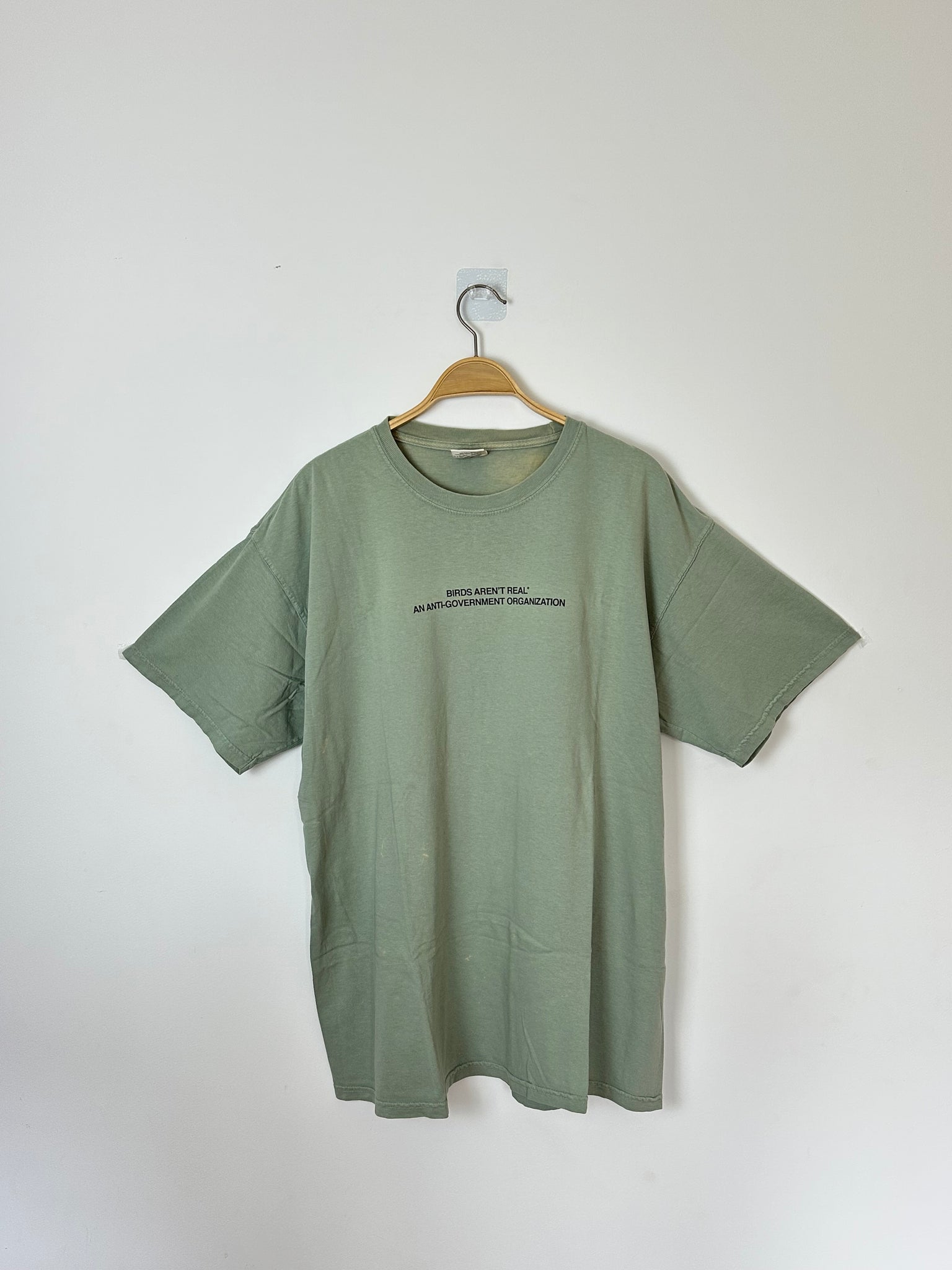 Birds Aren't Real Political Sunfaded T (XL)