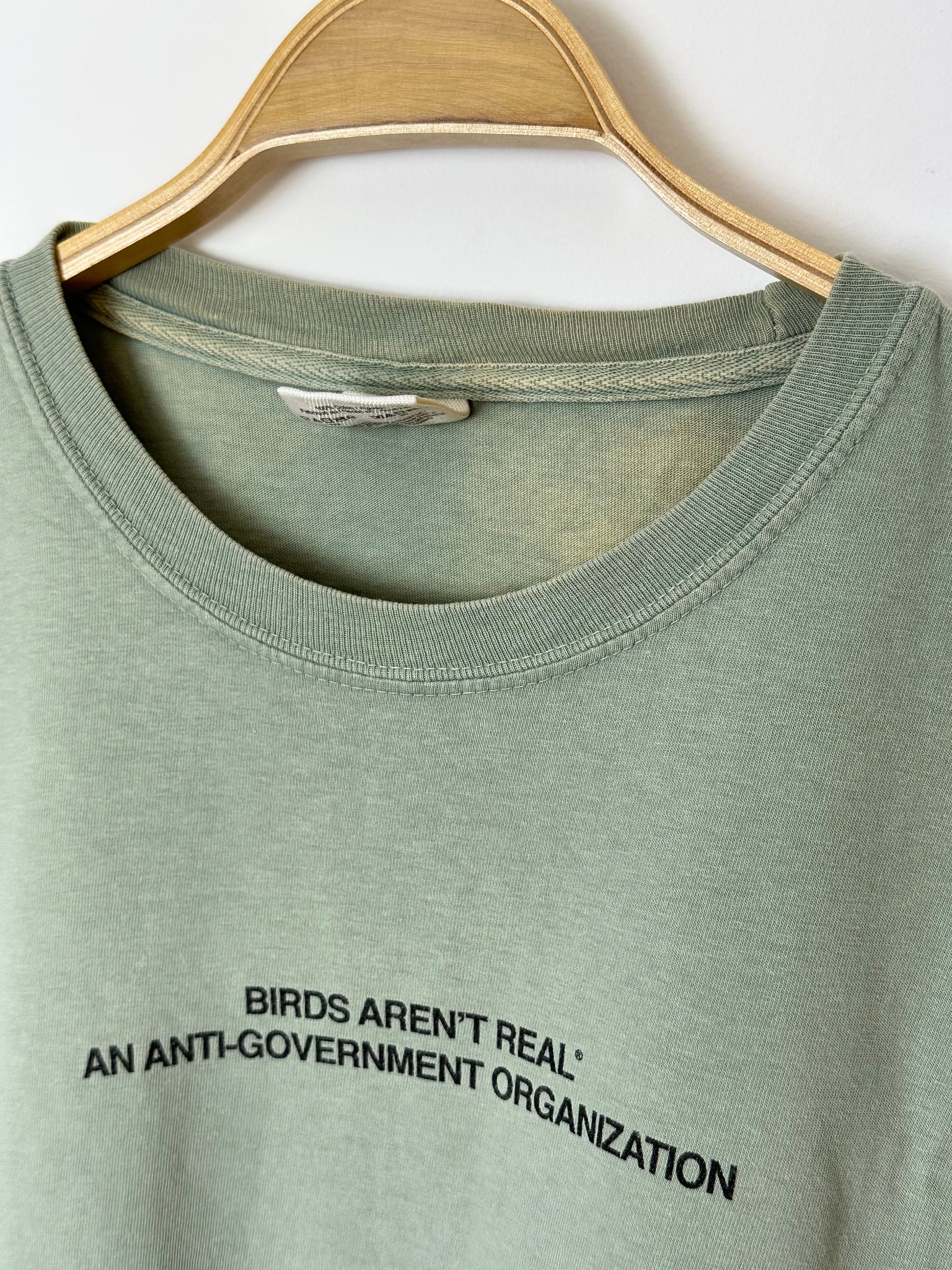 Birds Aren't Real Political Sunfaded T (XL)