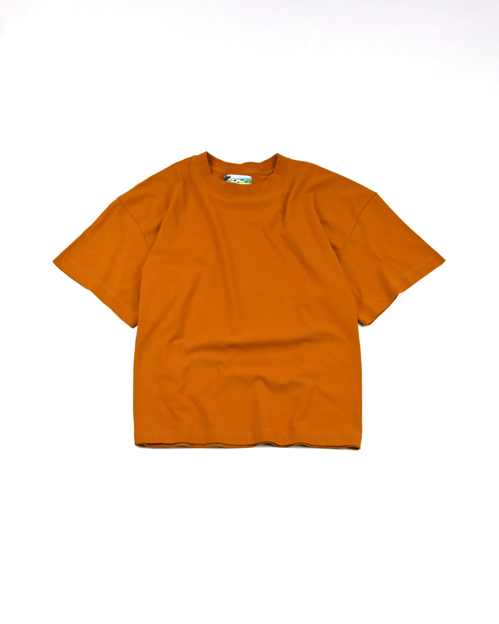 Terracota T